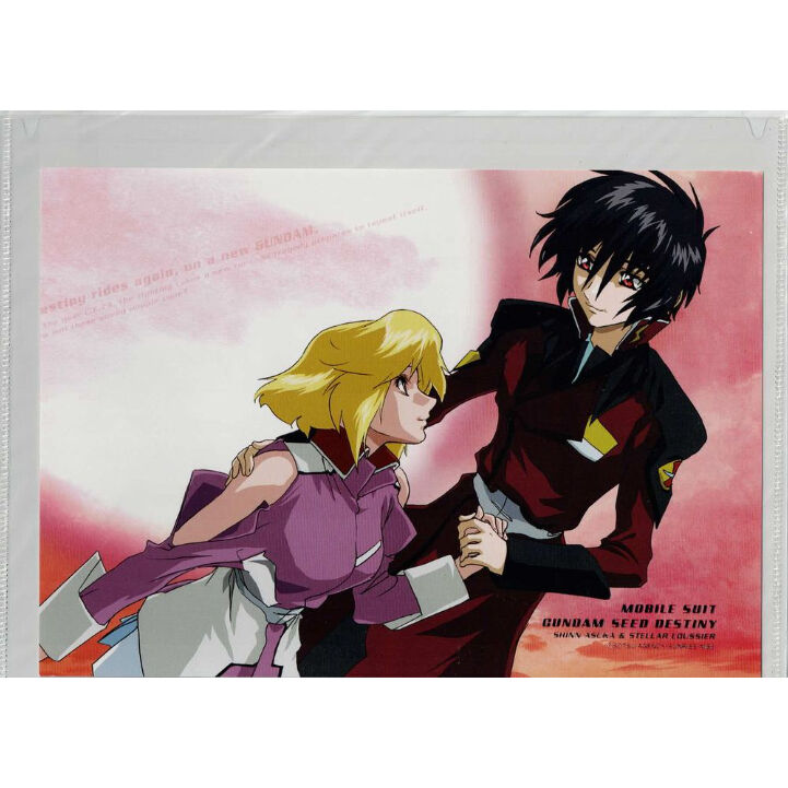 ガンダムSEED DESTINY SofuNui シン ステラ 機動戦士ガンダムSEED DESTINY』 クリアケース シン ステラ | K-BOOKS