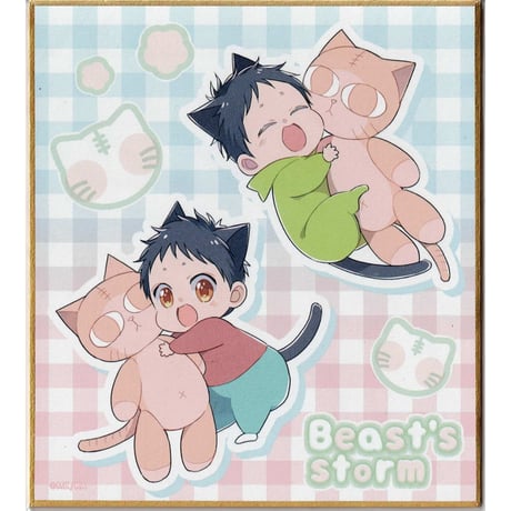 黒井モリー | STORES