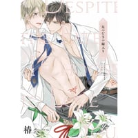 椿 『星つむぎの嫁入り』 アニメイト　リーフレット【BLグッズ】
