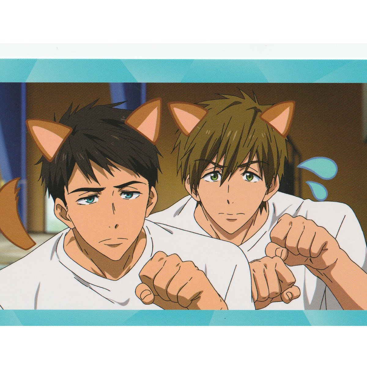 バラ】Free! 山崎宗介 橘真琴 ポストカード 【THE FIRST VOLUME バラ】Free! 山崎宗介 橘真琴 ポストカード 【THE FIRST VOLUME