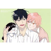 窪田マル『君となら恋をしてみても 』　メディコス ポップアップ　ポストカード【BLグッズ】