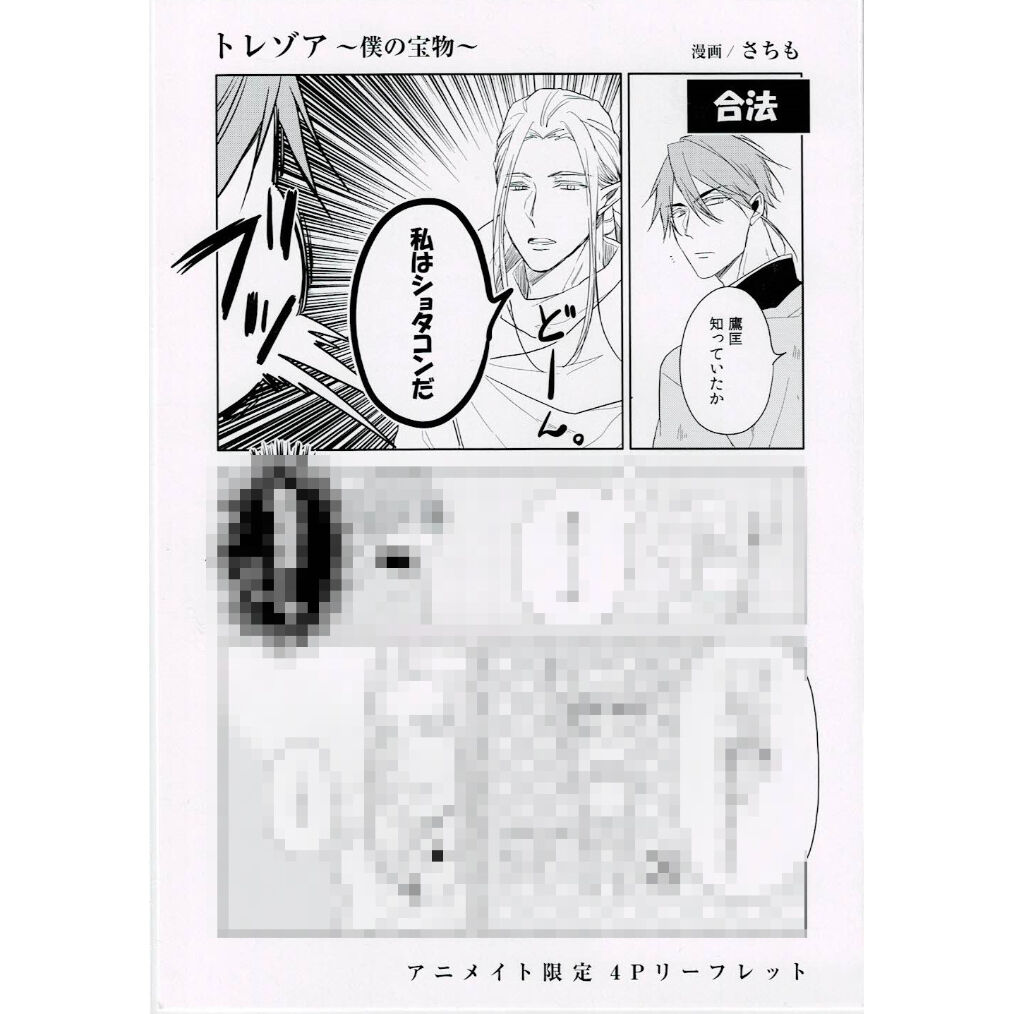 アニメイト限定4Pリーフレット・送料込 雷々来世 ◉アニメイト限定4Pリーフレット - メルカリ