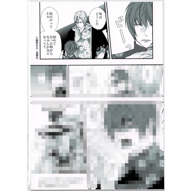 藤咲もえ『腐男子召喚~異世界で神獣にハメられました~ 2巻』ペーパー