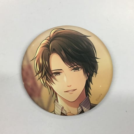 STORES スタンドマイヒーローズ 缶バッジの検索結果