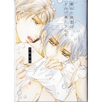 天咲吉実『濡れた初恋はきみで満たされる』　全サ　小冊子　【BLグッズ】