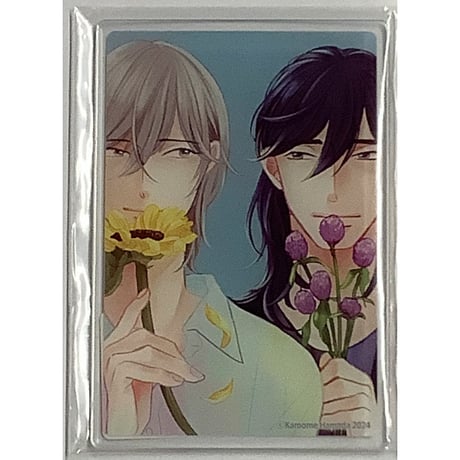 波真田かもめ | STORES