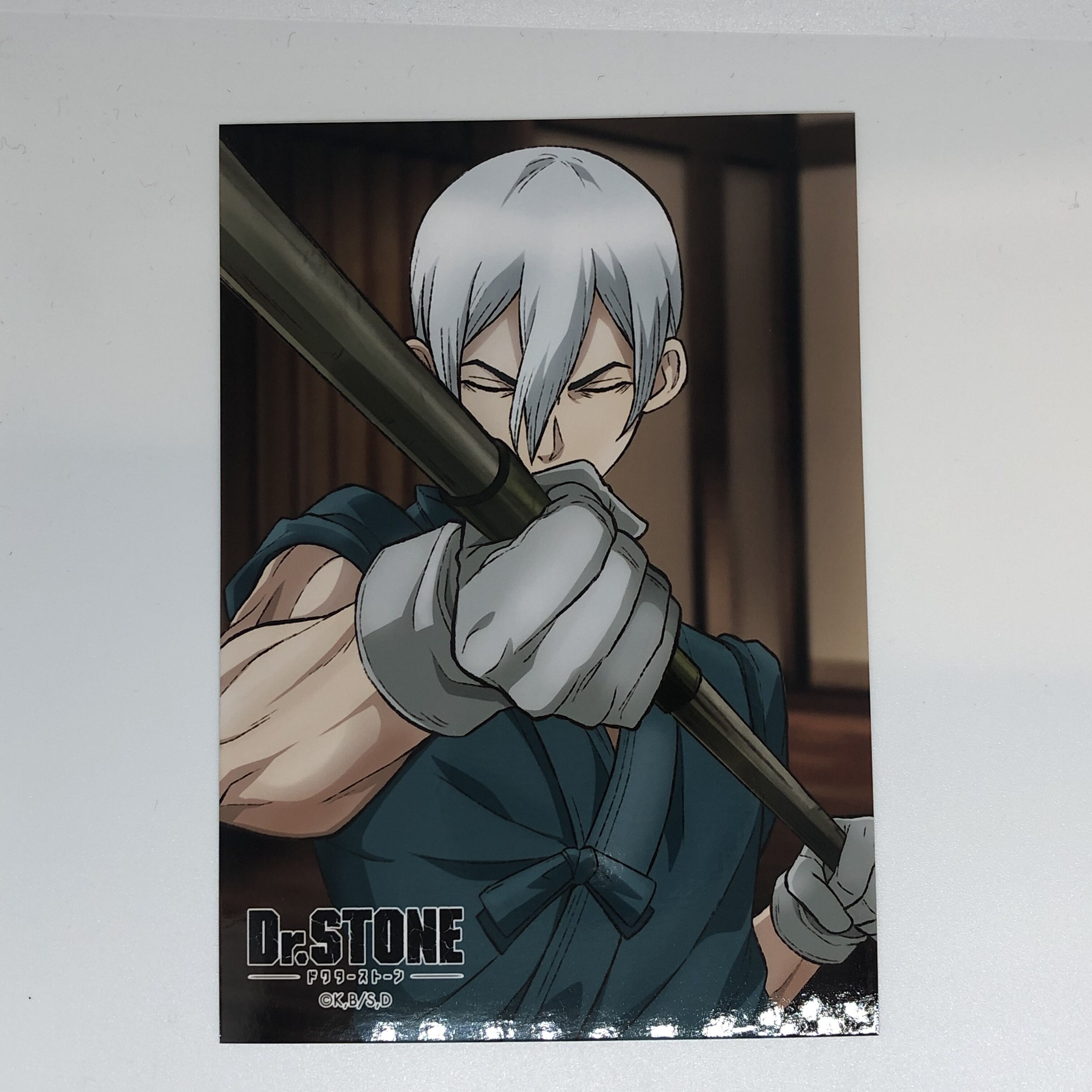 Dr.STONE 生ブロマイド 氷月 石化前 2021 original