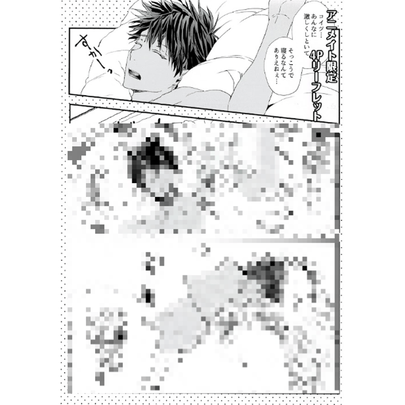 るんぁ『LOOPY PEEPS！』 アニメイト特典 リーフレット【BLグッズ