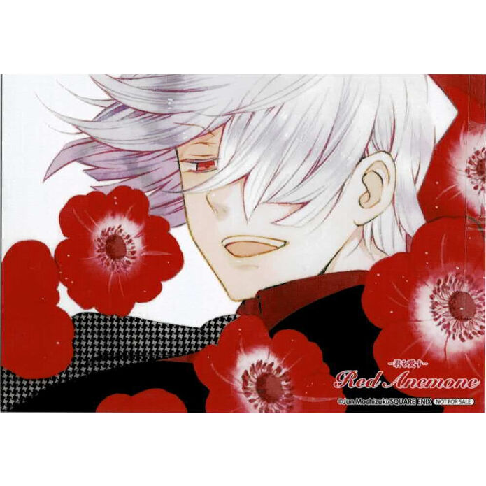 Pandora Hearts 花言葉 ブロマイド　フルセット Amazon.co.jp: パンドラハーツ 花言葉(プロポーズ)ブロマイド