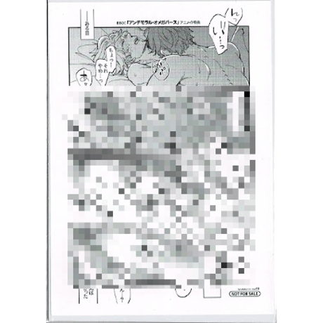 お得！】BL研究所 不思議シート (大) 約40cm角 2枚セット