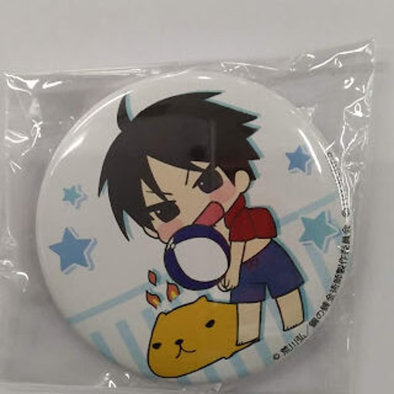 鋼の錬金術師 × カピバラさん」 ロイ・マスタング アニメガカフェ 缶