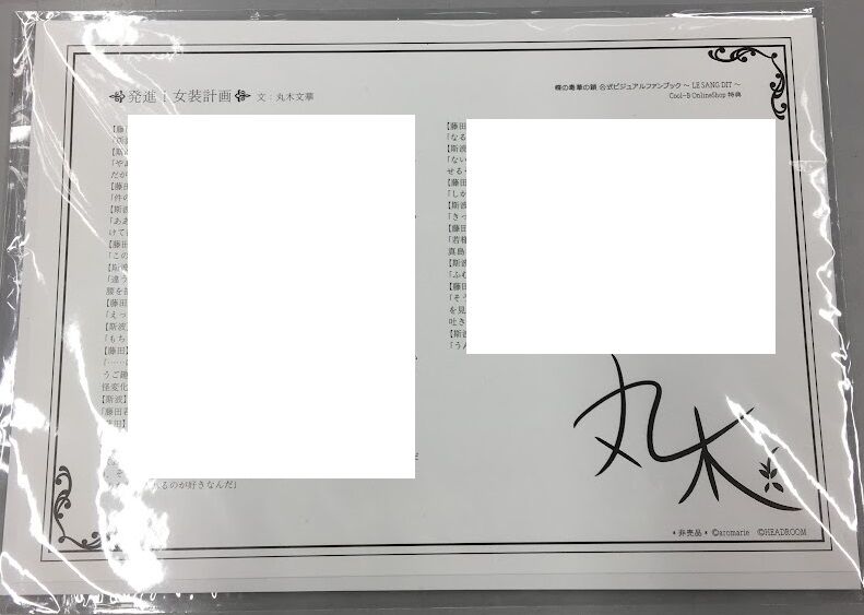 蝶の毒 華の鎖 公式ビジュアルファンブック 描き下ろしイラストA3