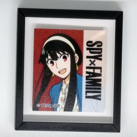 STORES スパイファミリーの検索結果