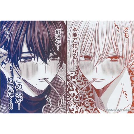 ちふゆ 特典 まとめ売り ペーパー付】ちふゆ先生 特典まとめ売り - メルカリ