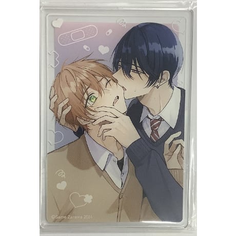 ざらめ鮫 | STORES