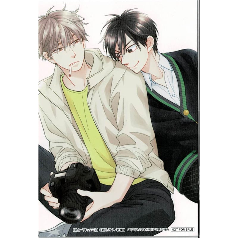 夏目イサク『飴色パラドックス 5』イラストカード【BLグッズ】 | K