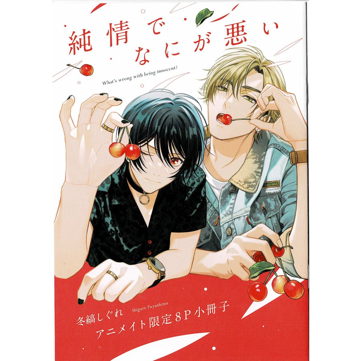 冬縞しぐれ 『純情でなにが悪い』 アニメイト 小冊子【BLグッズ】