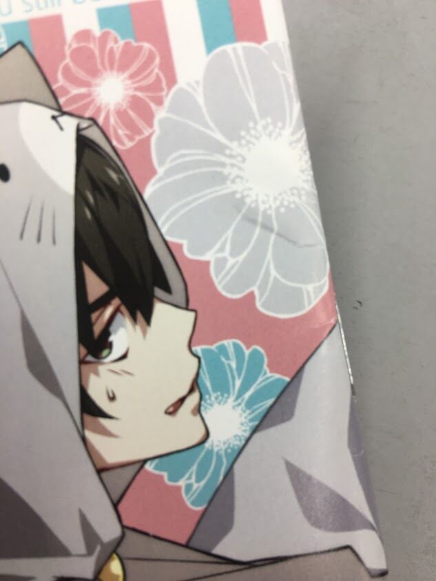 イタミ・汚れ・折れ跡有】Charade Maniacs ステラセット特典小冊子 | K