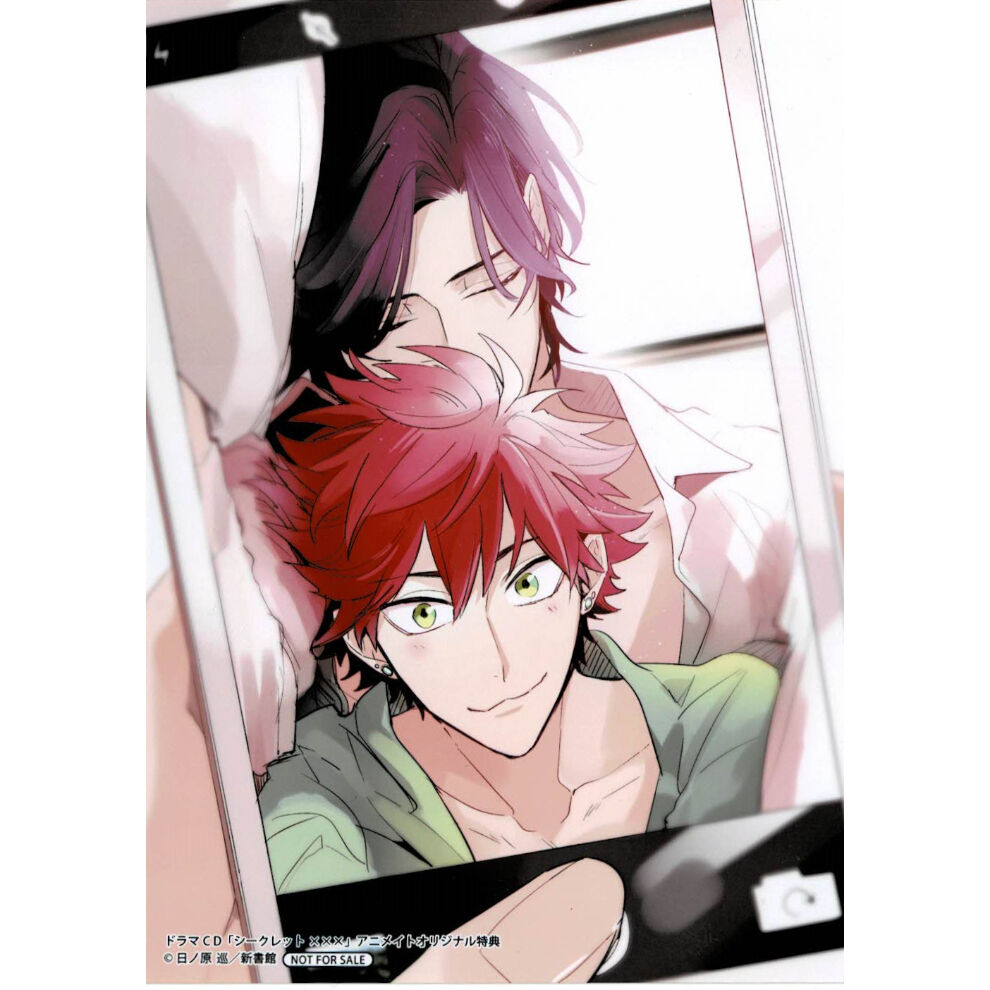 シークレット××× 日ノ原巡 日ノ原巡 『シークレット×××』 ブロマイド【BLグッズ】 | K-BOOKS 池袋