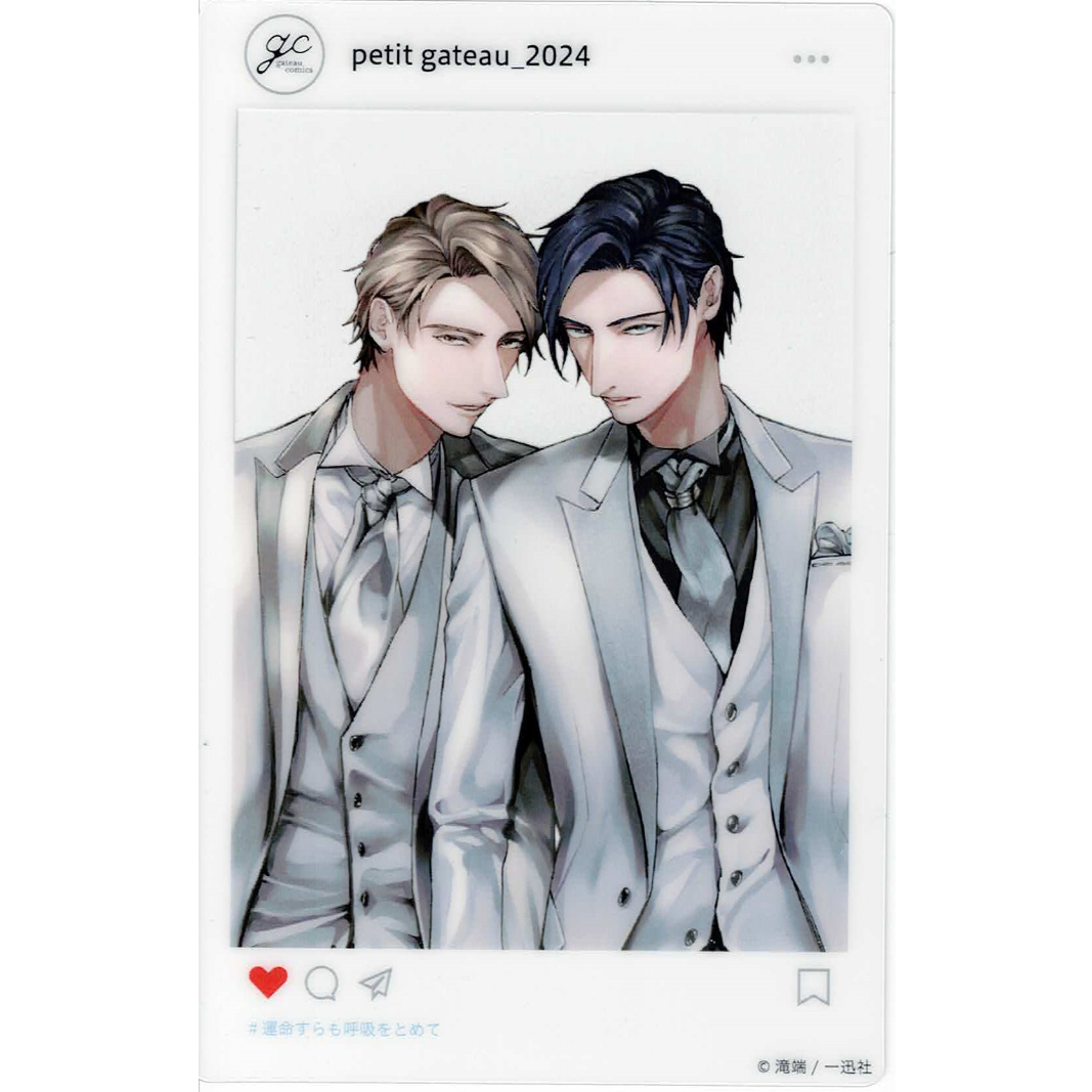 滝端 『運命すらも呼吸をとめて 』「petit gateau展2024