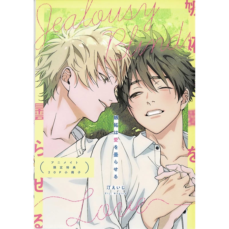 BL 特典　アニメイト他　リーフレット/小冊子 BL新刊恋をしたいわけじゃないけれど篠崎マイアニメイト小冊子