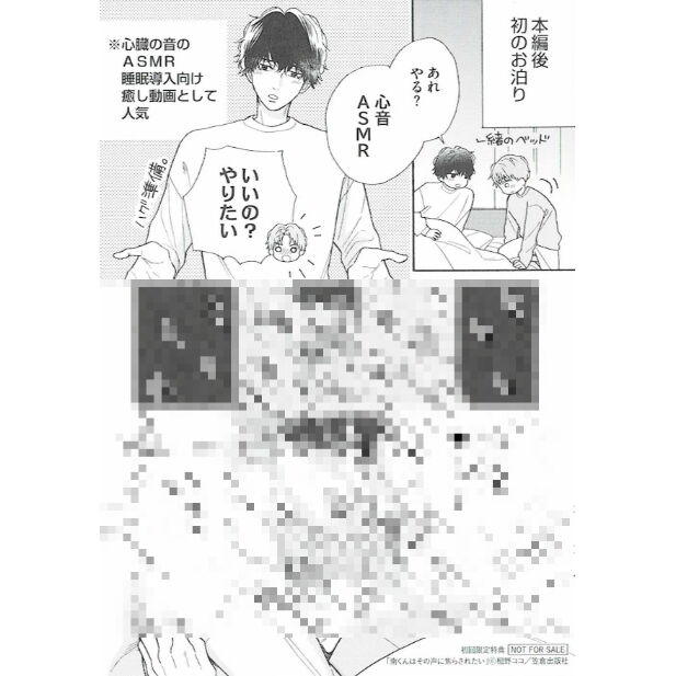 相野ココ『南くんはその声に焦らされたい』　ペーパー【BLグッズ】　初回封入特典　K-BOO...