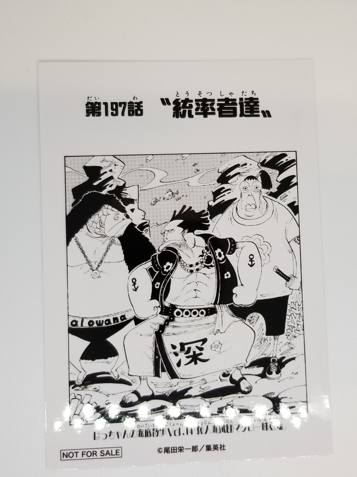 ワンピース 扉絵ブロマイド ☆ワンピース ONE PIECE 1000LOGS 扉絵ブロマイド ジャンプ