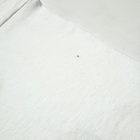 ボブサップvs曙 視聴率43%・Tシャツ