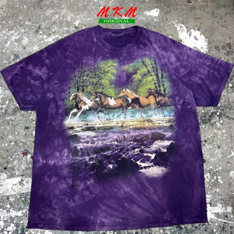 00s 馬・Tシャツ