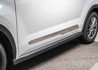 TOYOTA ライズ　サイドドアガーニッシュ 送料込み
