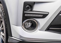 TOYOTA ライズ　フォグランプカバー 送料込み