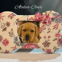 フォトフレーム　DOG  BORN(布なし)
