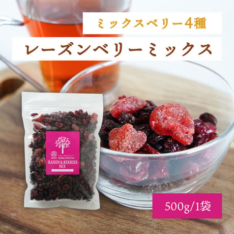 レーズンベリーミックス｜ミックス ストロベリー ブルーベリー レーズン クランベリー500g×1個｜美糖舎-BITOYA