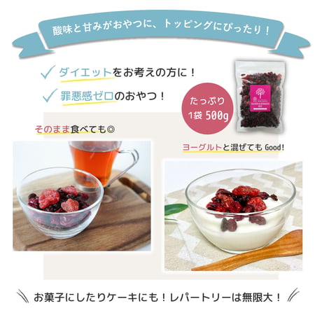 レーズンベリーミックス｜ミックス ストロベリー ブルーベリー レーズン クランベリー500g×1個｜美糖舎-BITOYA
