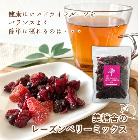 レーズンベリーミックス｜ミックス ストロベリー ブルーベリー レーズン クランベリー500g×1個｜美糖舎-BITOYA