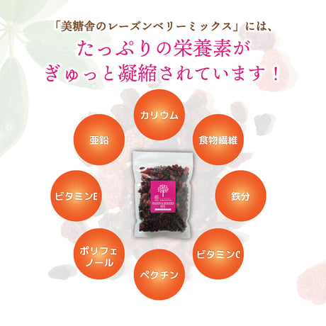 レーズンベリーミックス｜ミックス ストロベリー ブルーベリー レーズン クランベリー500g×1個｜美糖舎-BITOYA