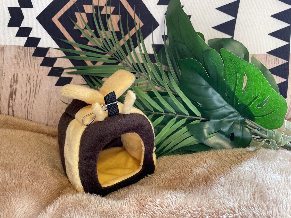 ハウスベット | モモンガショップ suga sugar glider