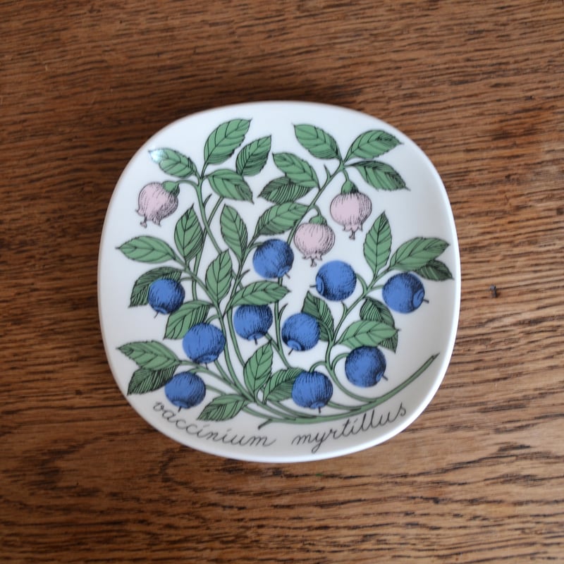 ARABIA ボタニカ　ミスミソウ　ウォールプレート　ヴィンテージ ARABIA ボタニカ ミスミソウ ウォールプレート ヴィンテージ