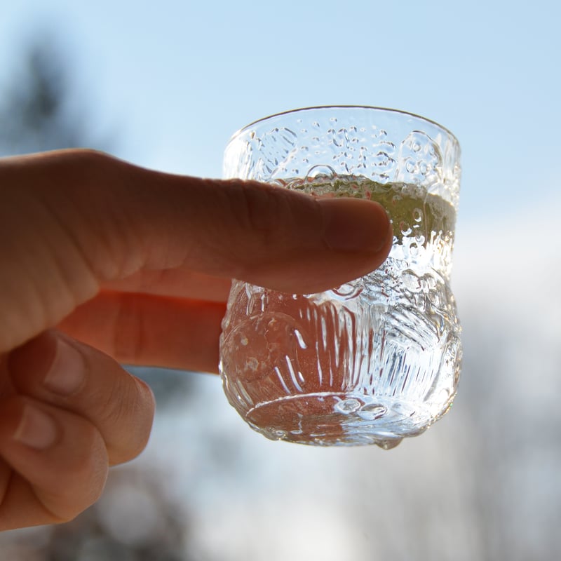 Nuutajärvi ARABIA/Fauna (ヌータヤルヴィ アラビア/ファウナ) グラス