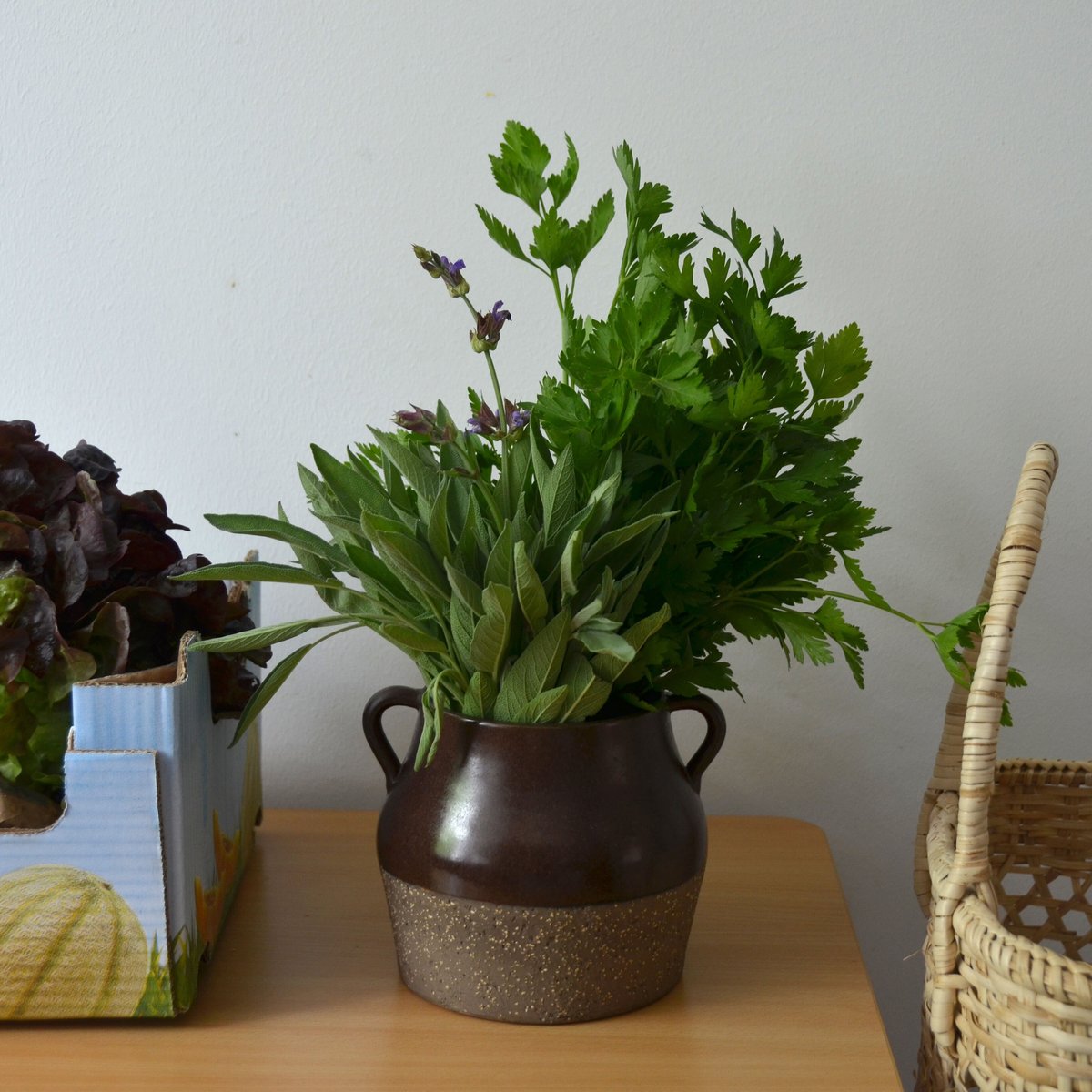 Upsala-Ekeby / Delphi / Mari Simmulson (ウプサラエクビ