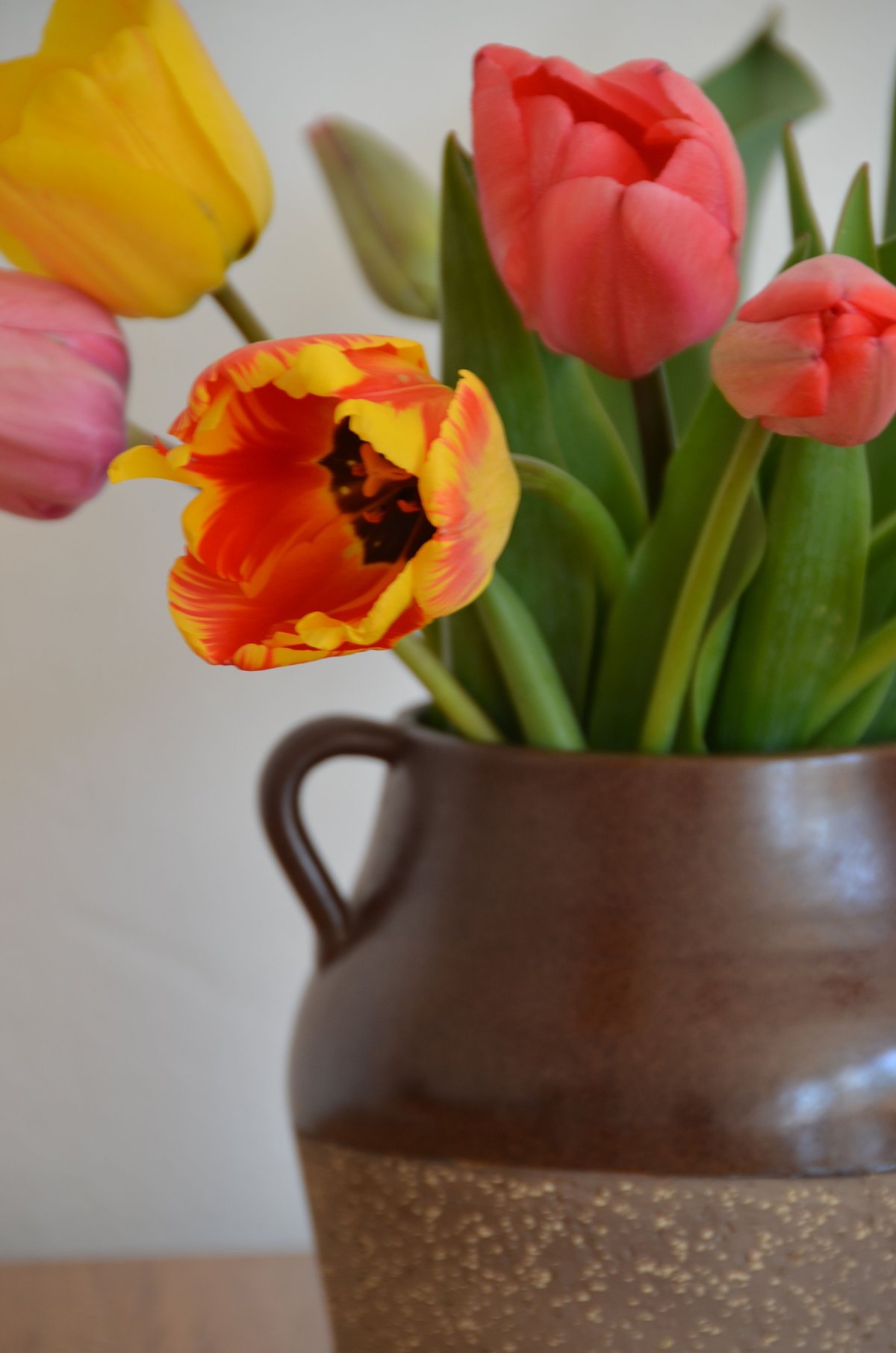 Upsala-Ekeby / Delphi / Mari Simmulson (ウプサラエクビ