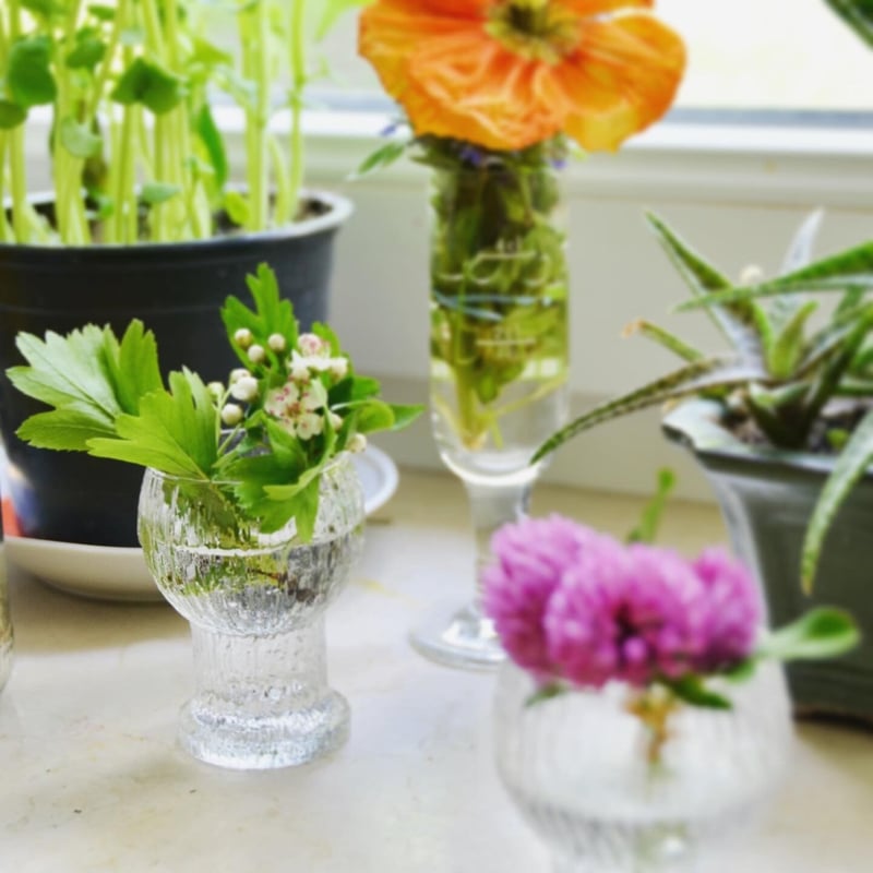 Iittala/Kekkerit (イッタラ/ケッケリト) リキュールグラス | 北欧