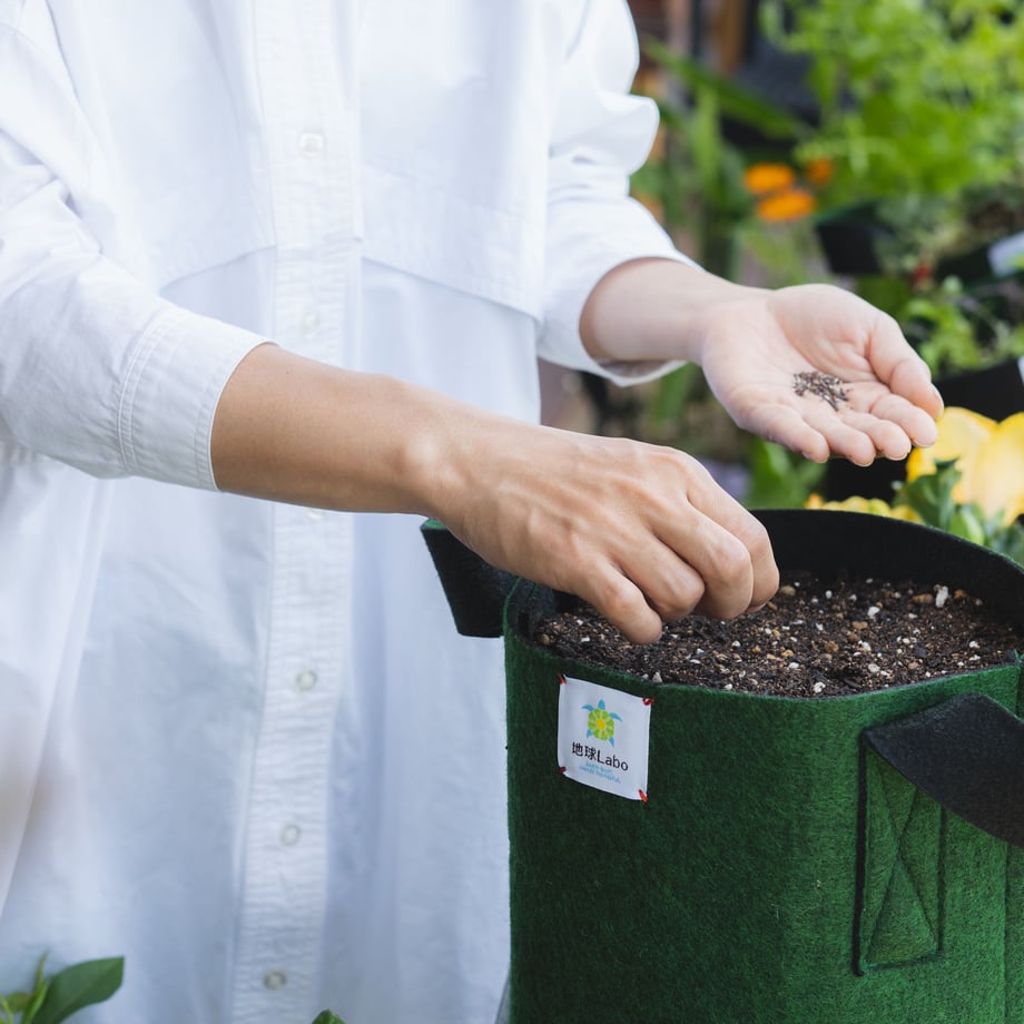 6209ea08e3bbd11c8645b61d