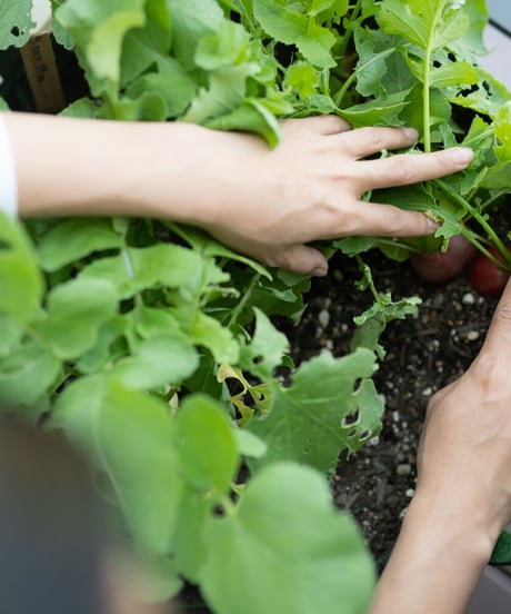 アグリポーチ　Lサイズ　ブラック