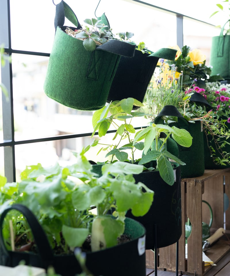 品名：アグリポーチ Sサイズ グリーン | 地球Labo Store