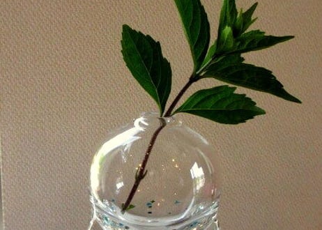 Glass Studio BiBi ○△▢花器