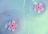 Glass Studio BiBi＊ガラスの花びら皿
