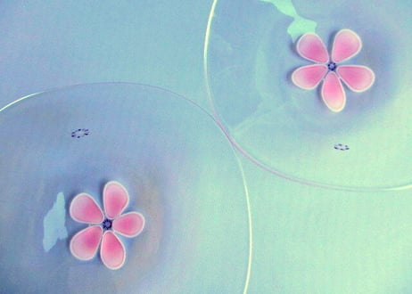 Glass Studio BiBi＊ガラスの花びら皿