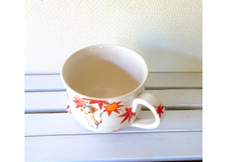 京焼・小手鞠窯 コーヒーカップ紅葉＊ミケとトラ