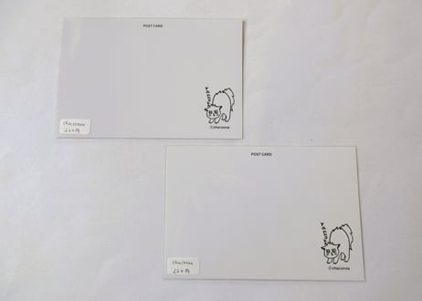 chaconoa ポストカード　⑤⑥